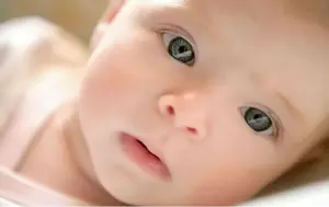 Note the goofy language: How is killing babies in the womb in any way "reproductive"?