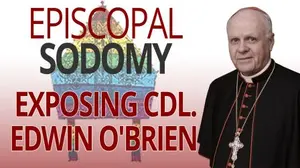 If anything in America cried out for a RICO investigation it would be the Criminal Clerics forming the Homosexual Cabal now running the Catholic Hierarchy.
