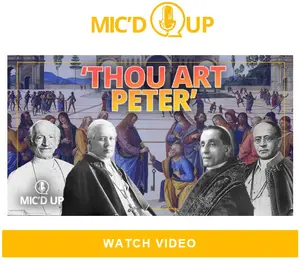 No Dogma was ever anything new. All Dogmas were Existing Doctrines before being Formally Defined for the Whole Church by the Magisterial Authority of a Pope.