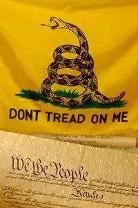 It's all or nothing, now. If we don't go whole-hog on Constitutional Restoration, the USA is history.