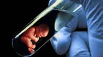 IVF (Invitro Fertilization) Pits Human Feelings, Emotions and Desires Against Natural Law, and Natural Law's Relationship to the Eternal Laws of God 