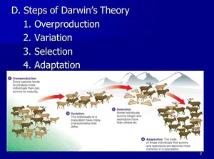 Where's the Empirical Evidence Proving Evolution, or, the Billions-and-Billions-of-Years-of-Time Theory? The Solid Evidence for Christianity is All Around You.
