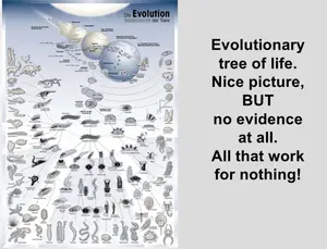 Nature Is Not Malleable; Nature Is Created, Fixed, and Immutable