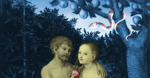 The Social Acceptance of Homosexuality and Transsexualism is a Destructive, Politically Induced, Toxic Cultural Delusion