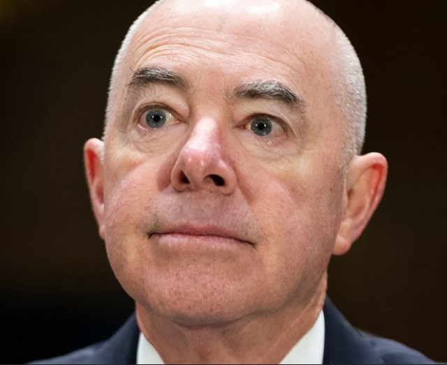 Bloody Mayorkas Bloody Mayorkas