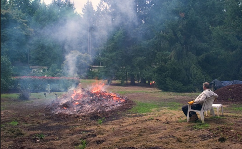 Burn Pile Burn Pile
