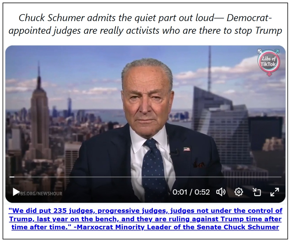 Chuck Schumer Judges