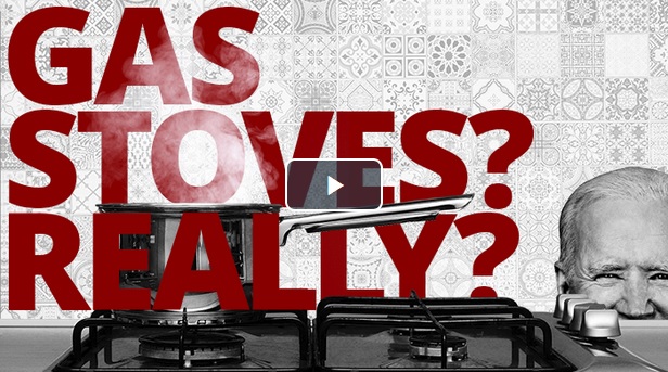 CronyismGasStoves