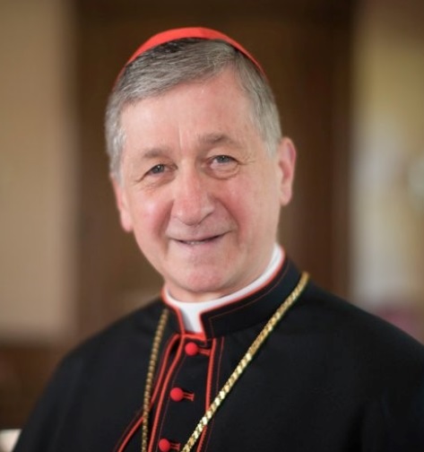 Cupich  Image Cupich  Image