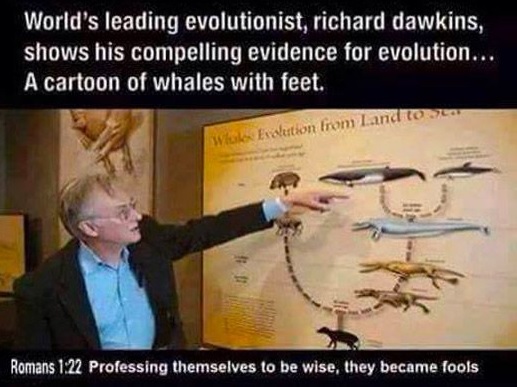 Dawkins Whale With Feet Cartoon Dawkins Whale With Feet Cartoon