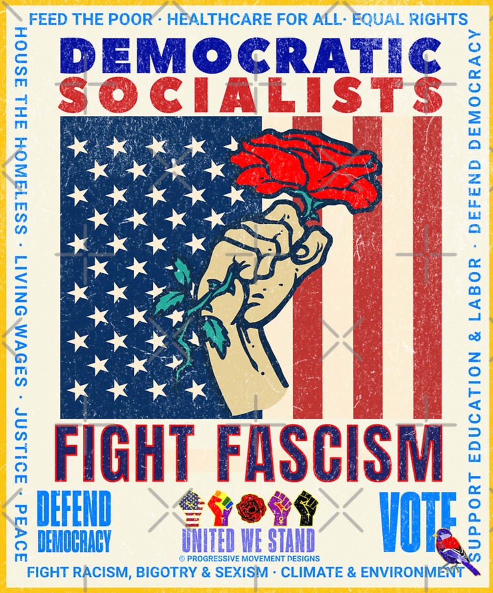 Dem Party Democratic Socialists