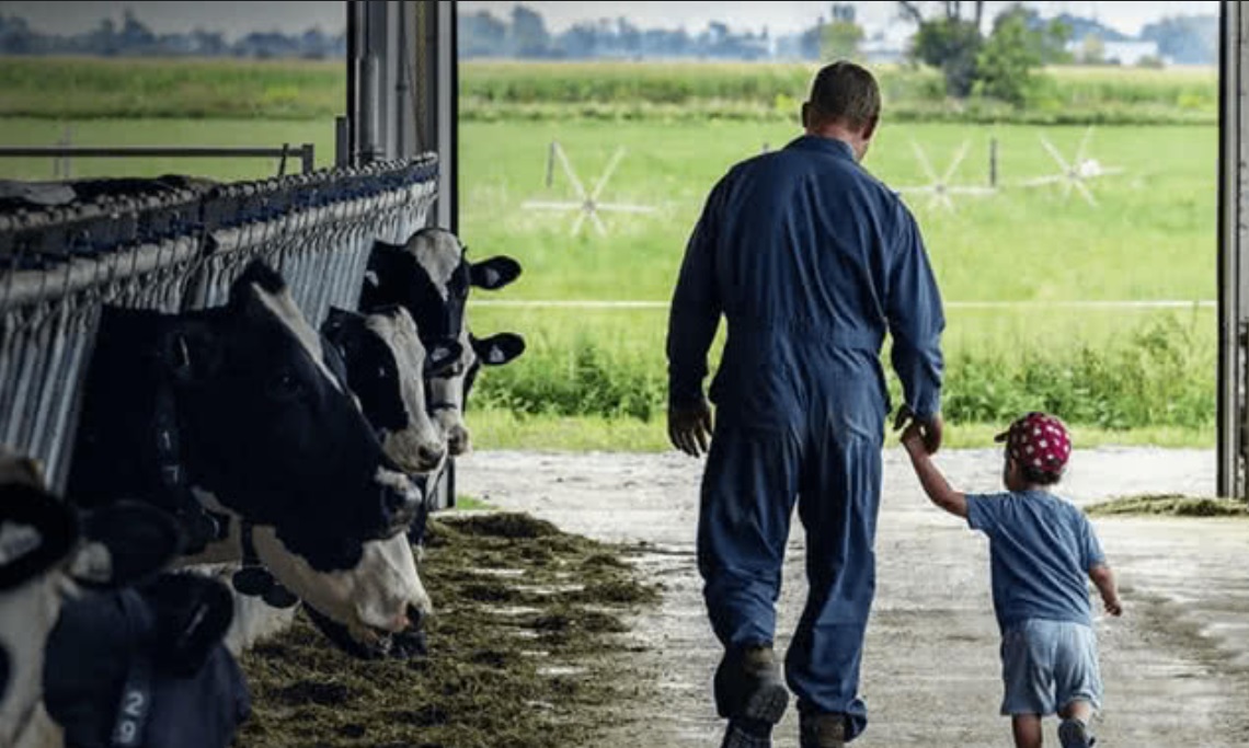 Fundamental Life Fundamental Life