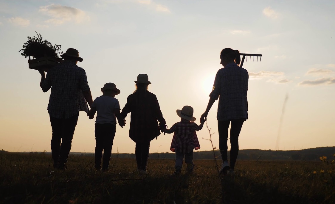 Fundamental Life 2 Fundamental Life 2