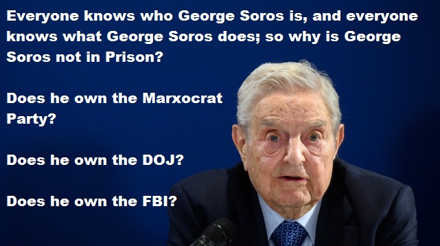 Georgie Boy Loose In The World