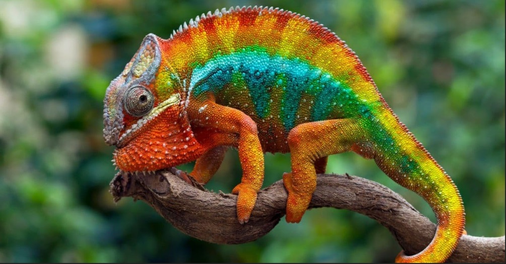 Kamala Policies 2 Kamala Policies 2