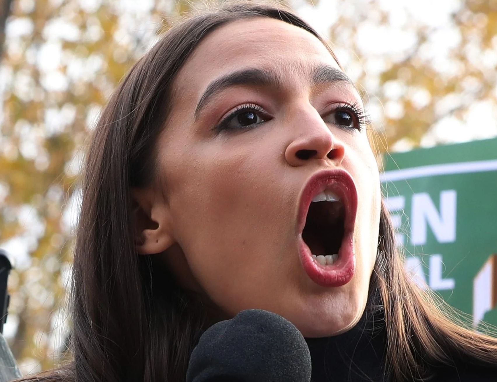 NGO FED AOC