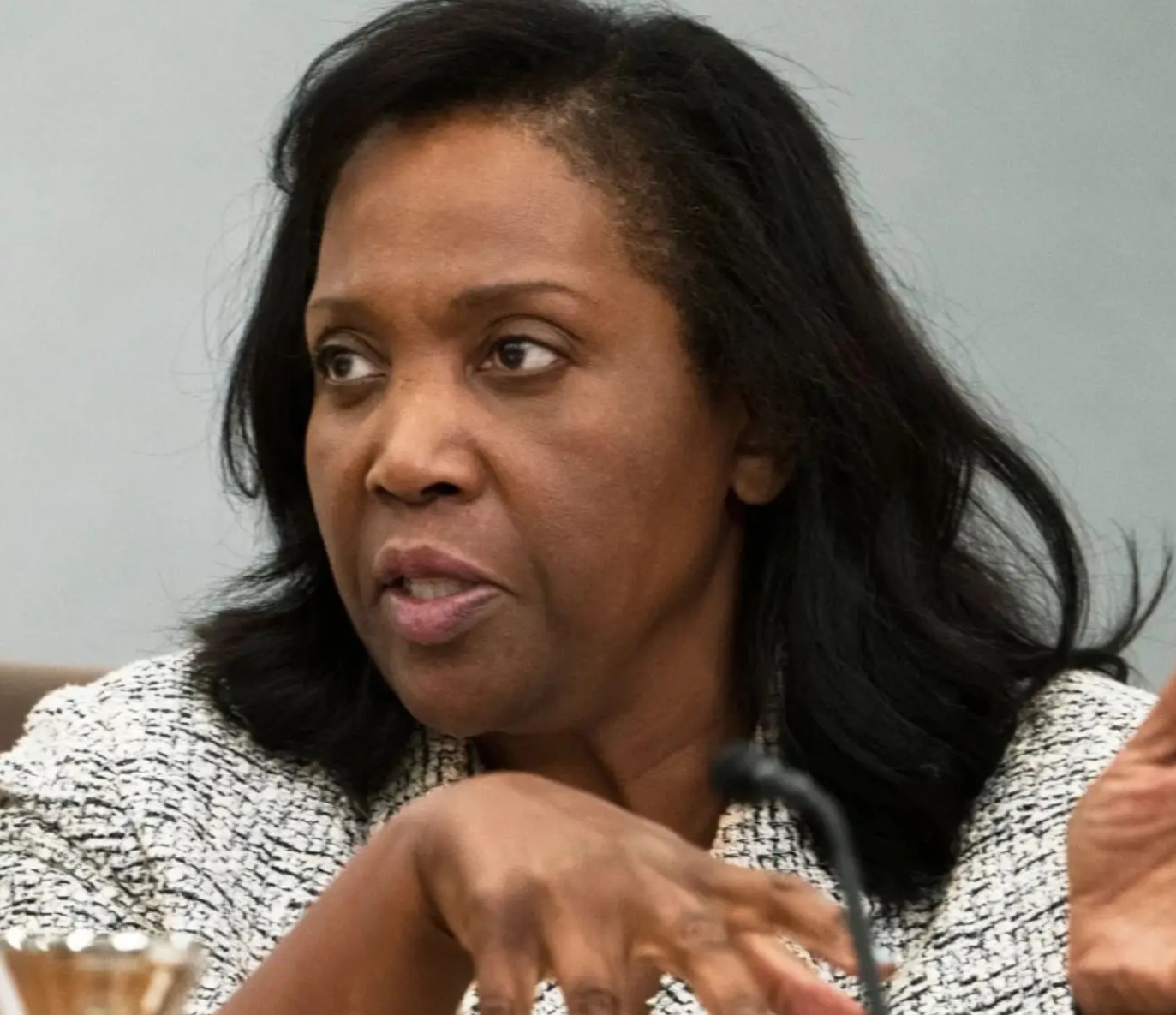 Obstinate Bureaucrat Lisa Cook