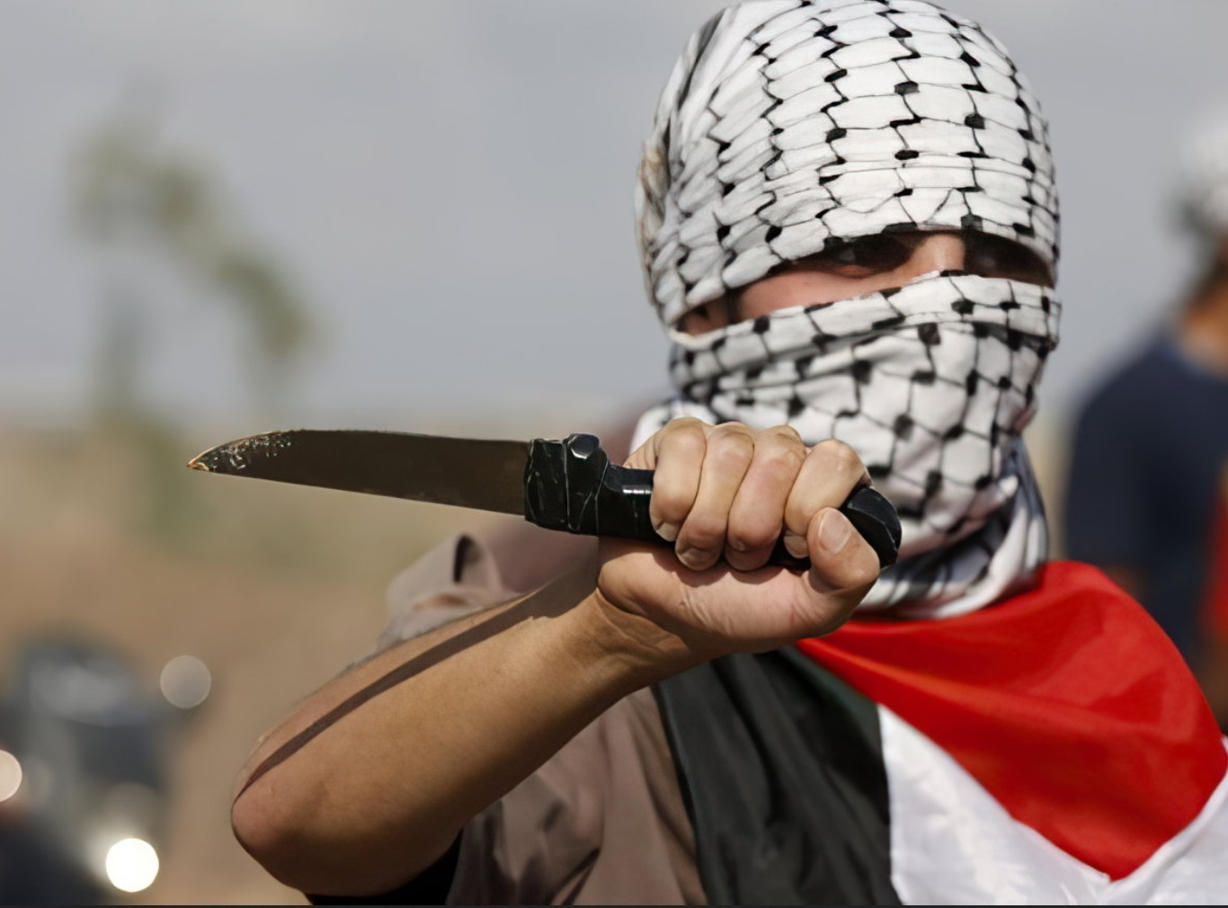 Palestinian Terror 3