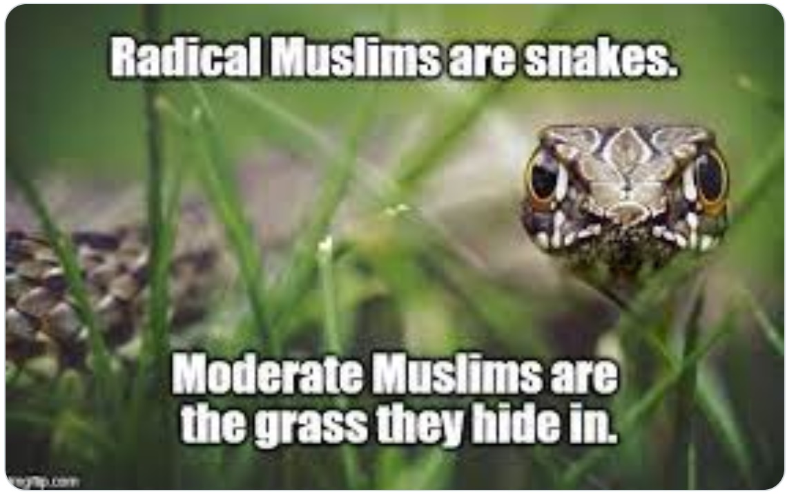 Radical and Moderate Moslems Radical and Moderate Moslems