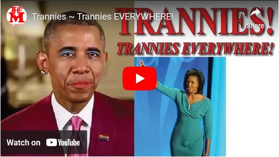 Trannies Trannies Everywhere