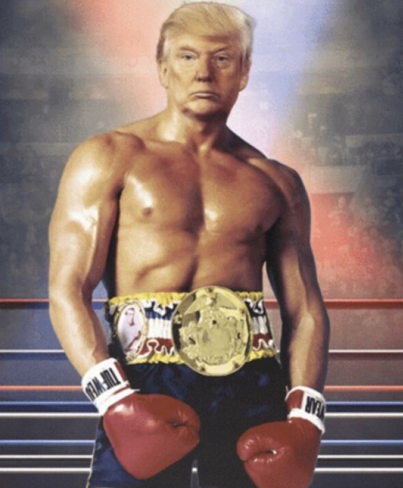 Trump Boxer Trump Boxer