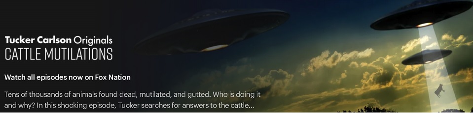 Tucker Carlson On Cattle Mutilations